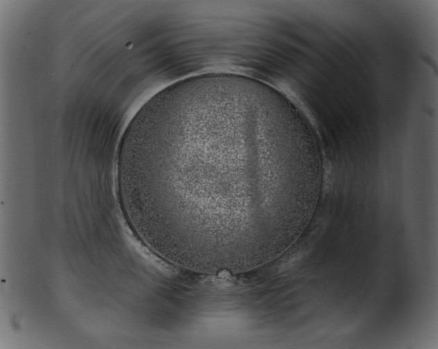 X0000101980955200807181122