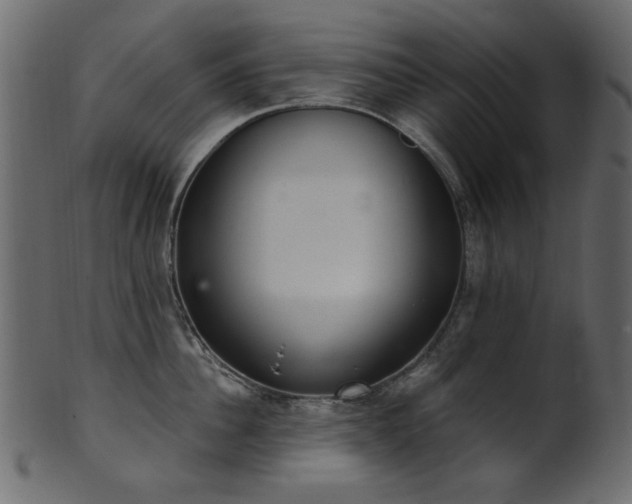 X0000101980956200807181122