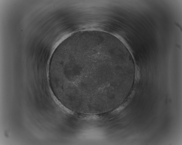 X0000101980957200807181122