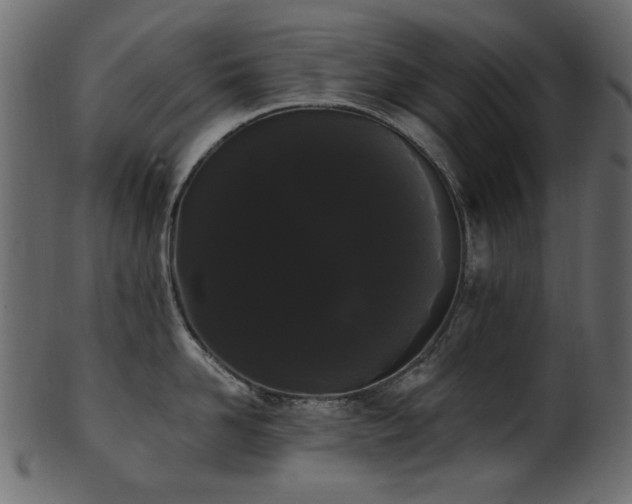 X0000101980958200807181122