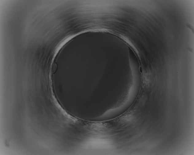 X0000101980959200807181122