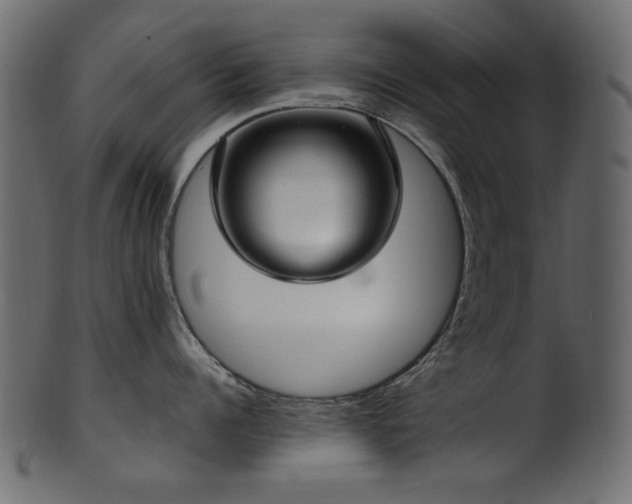 X0000101980960200807181122