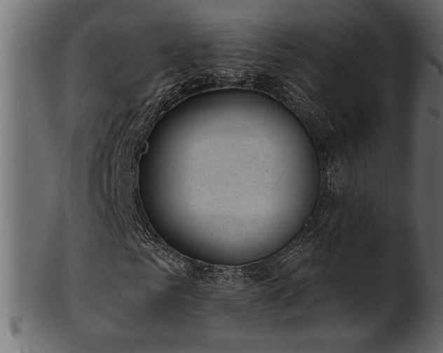 X0000101980961200807181121