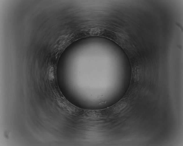 X0000101980962200807181121