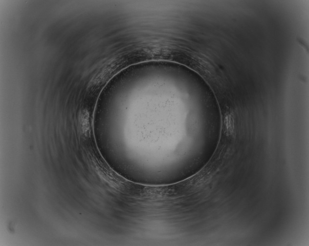 X0000101980963200807181121