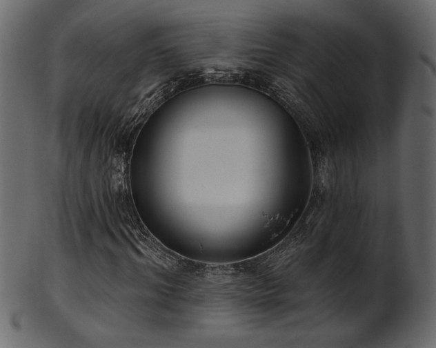 X0000101980964200807181121