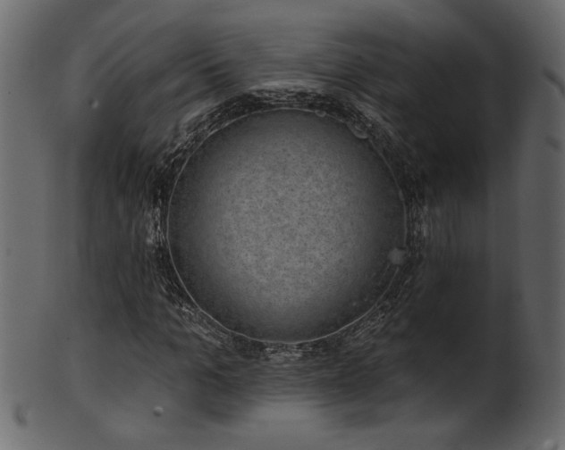 X0000101980965200807181121