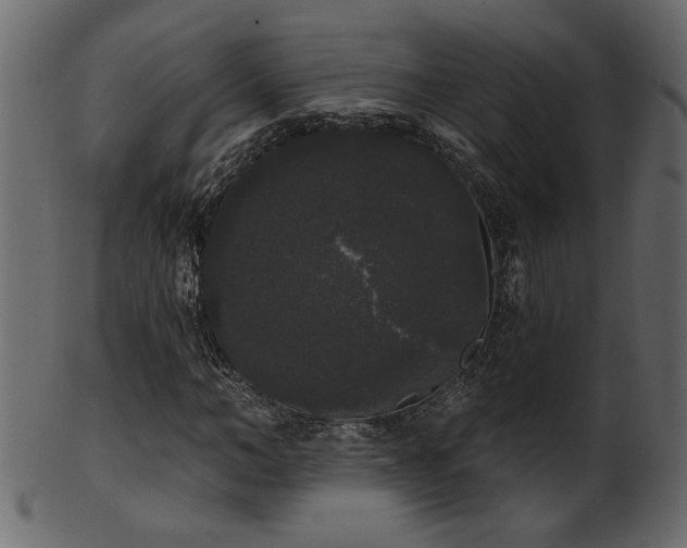 X0000101980966200807181121