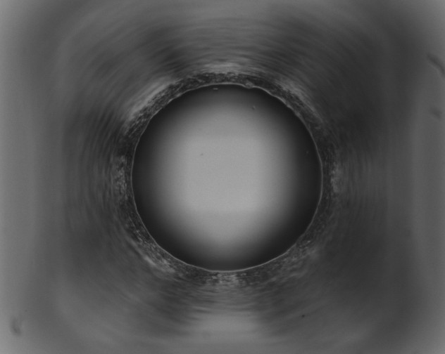 X0000101980968200807181121