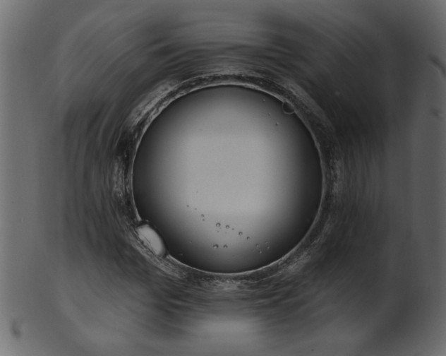 X0000101980969200807181121