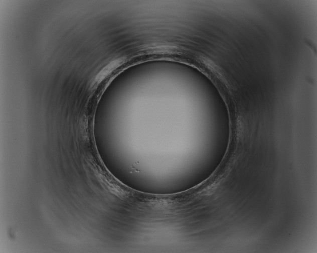 X0000101980970200807181121