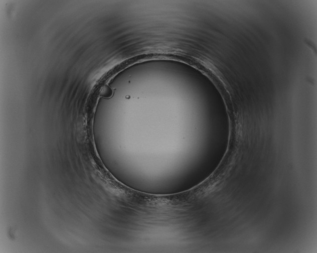 X0000101980971200807181121