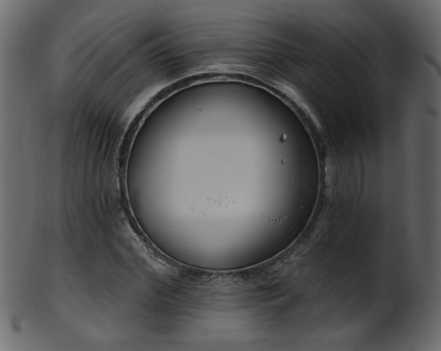 X0000101980972200807181121