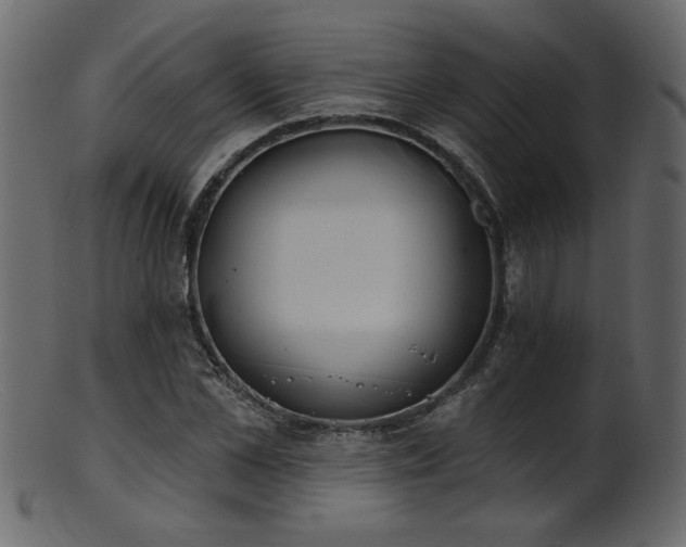 X0000101980973200807181121