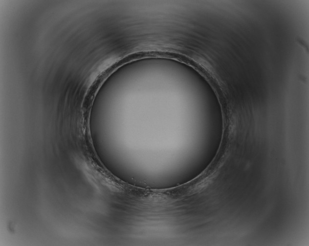 X0000101980974200807181121