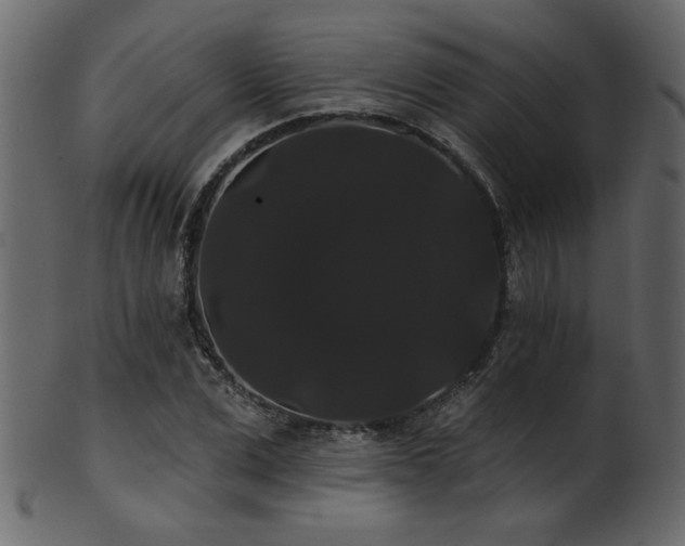 X0000101980975200807181121