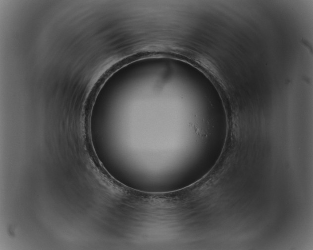 X0000101980976200807181121