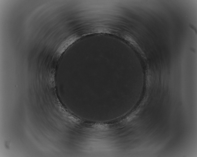 X0000101980977200807181121