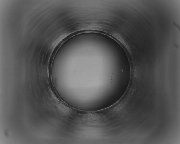 X0000101980980200807181121