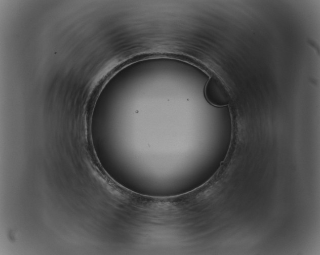 X0000101980982200807181121