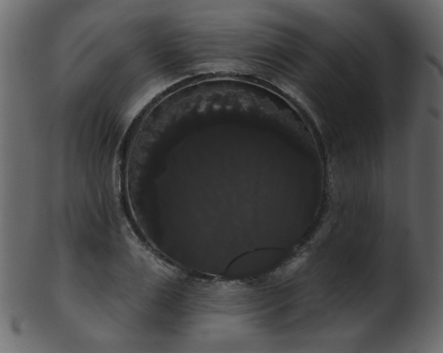 X0000101980983200807181121