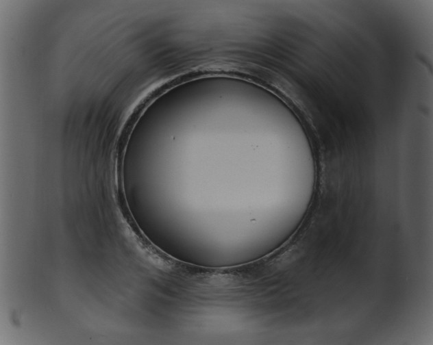 X0000101980984200807181121