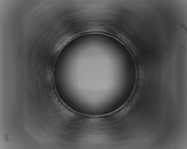 X0000101980985200807181121