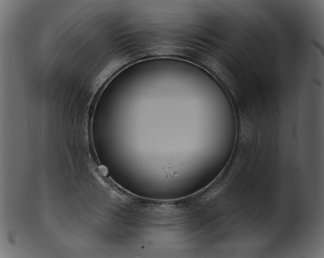 X0000101980986200807181121