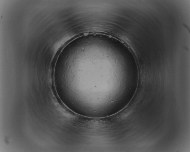 X0000101980987200807181121