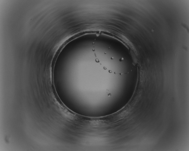 X0000101980988200807181121