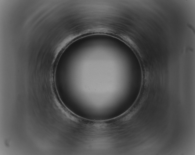 X0000101980989200807181121