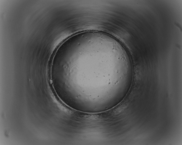 X0000101980991200807181121