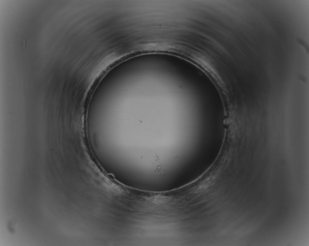 X0000101980992200807181121