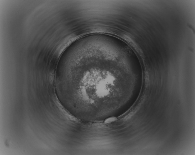 X0000101980993200807181121