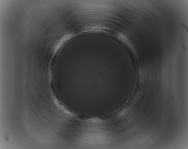 X0000101980994200807181121