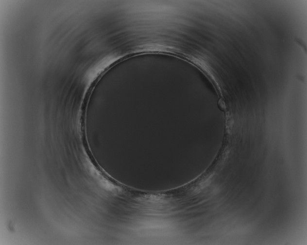 X0000101980995200807181120