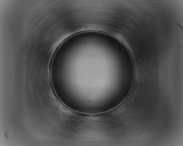 X0000101980996200807181120