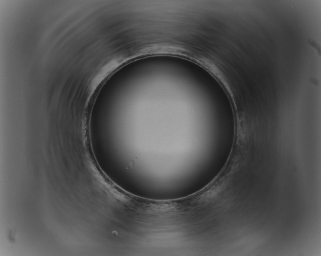 X0000101980997200807181120