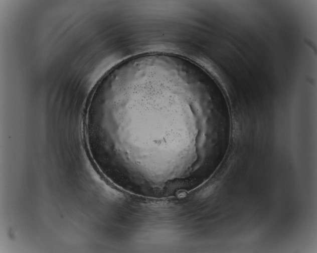 X0000101980999200807181120