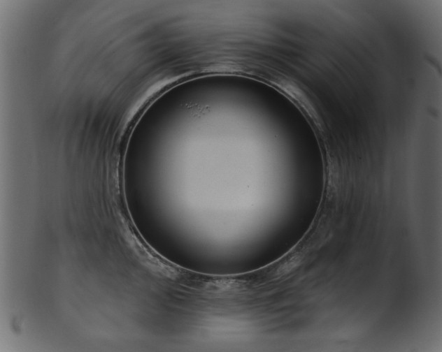 X0000101981000200807181120