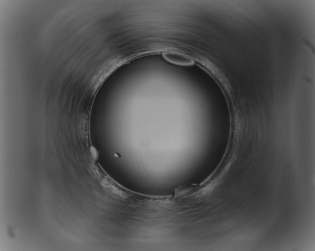 X0000101981001200807181120