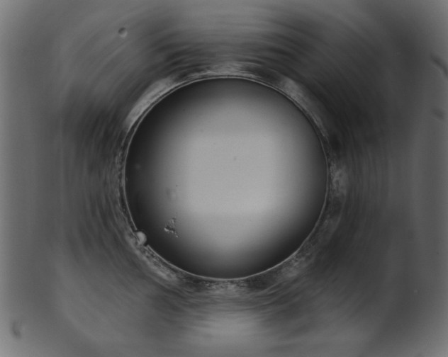 X0000101981002200807181120