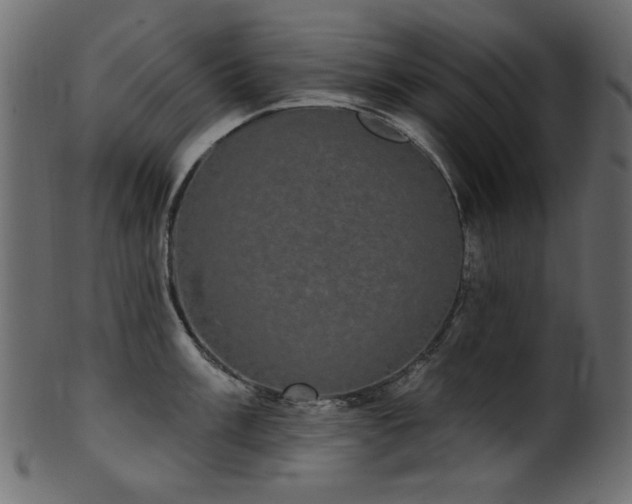 X0000101981003200807181120