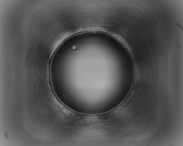 X0000101981006200807181120