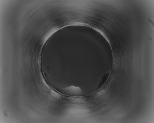 X0000101981007200807181120