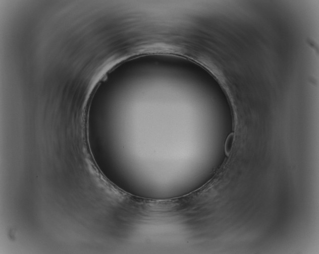 X0000101981008200807181120