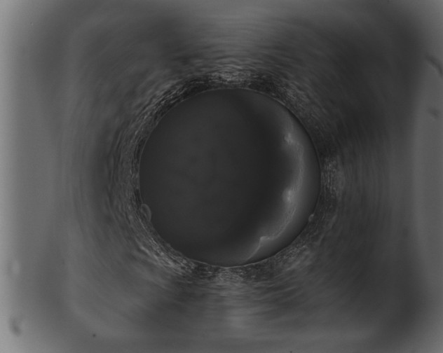 X0000101981009200807181120