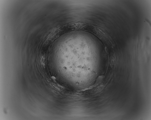 X0000101981010200807181120