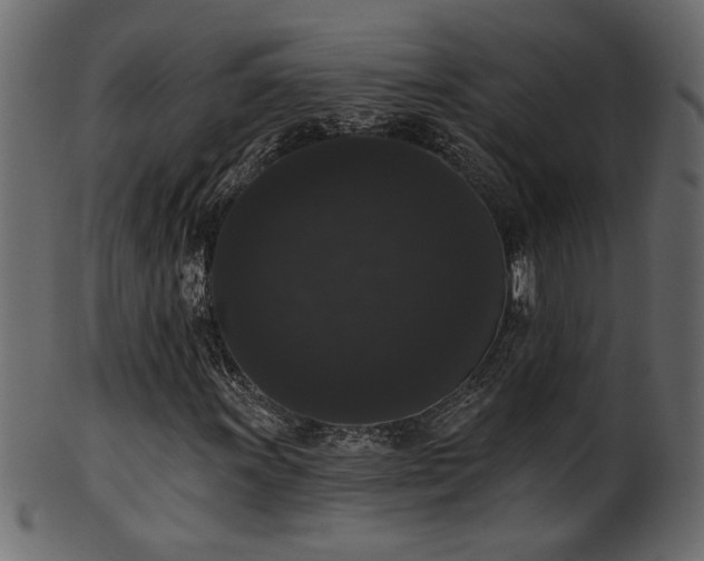 X0000101981011200807181120