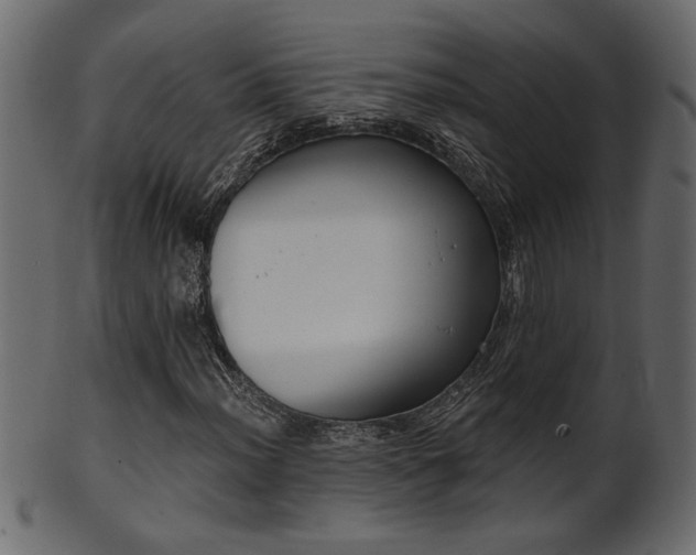 X0000101981012200807181120